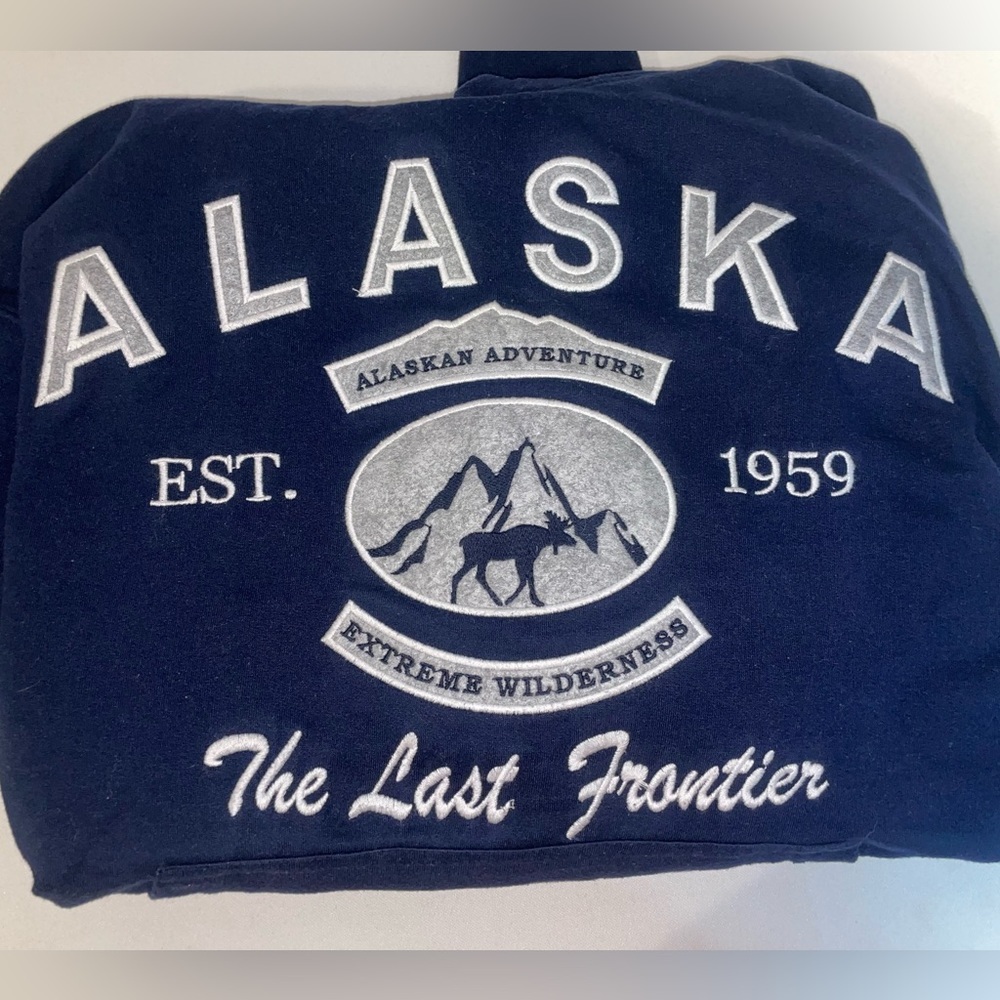 Vintage Embroidered Alaska hoodie - Picture 4 of 6